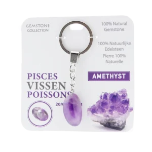 333001 Gemstone - Sleutelhanger - Sterrenbeeld - Vissen