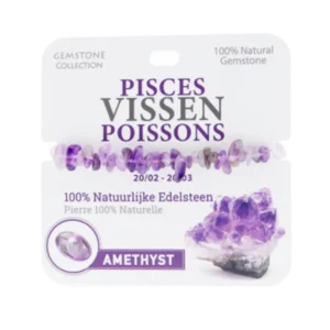 334001 Gemstone - Armband - Sterrenbeeld - Vissen