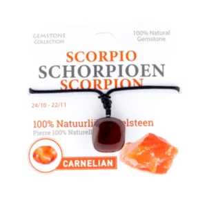 335009 Gemstone - Ketting - Sterrenbeeld - Schorpioen