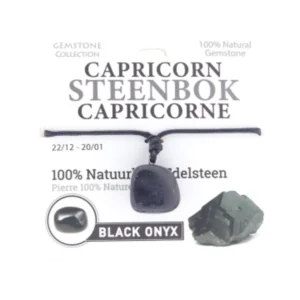 335011 Gemstone - Ketting - Sterrenbeeld - Steenbok