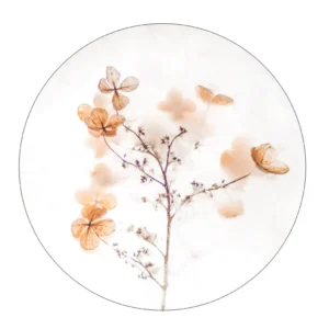 muurcirkel brown floral 40 cm