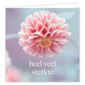 Pearl. Heel veel sterkte
