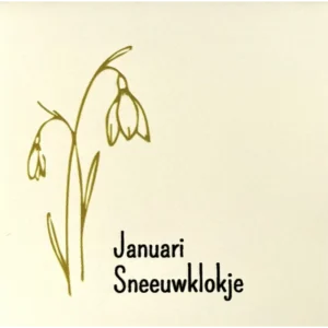 Tegeltje 'Geboortetegel Januari creme