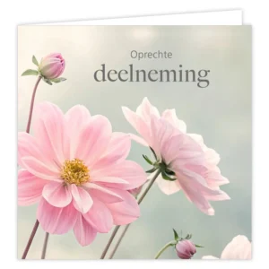 Pearl. Oprechte deelneming