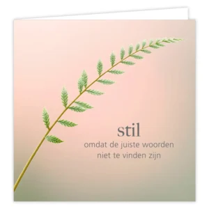 Pearl. Stil omdat de juiste woorden niet te vinden zijn