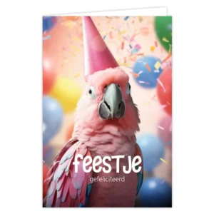 Wenskaart Feestje Gefeliciteerd