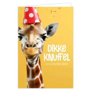 Wenskaart dikke knuffel om je te feliciteren