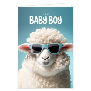 Wenskaart its a babyboy