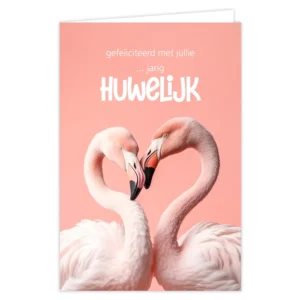 Wenskaart Gefeliciteerd met jullie... huwelijk