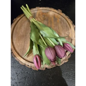 121908 8 tulp julia purple