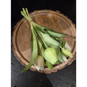 93292 1 tulp sally greenwhite 31 cm