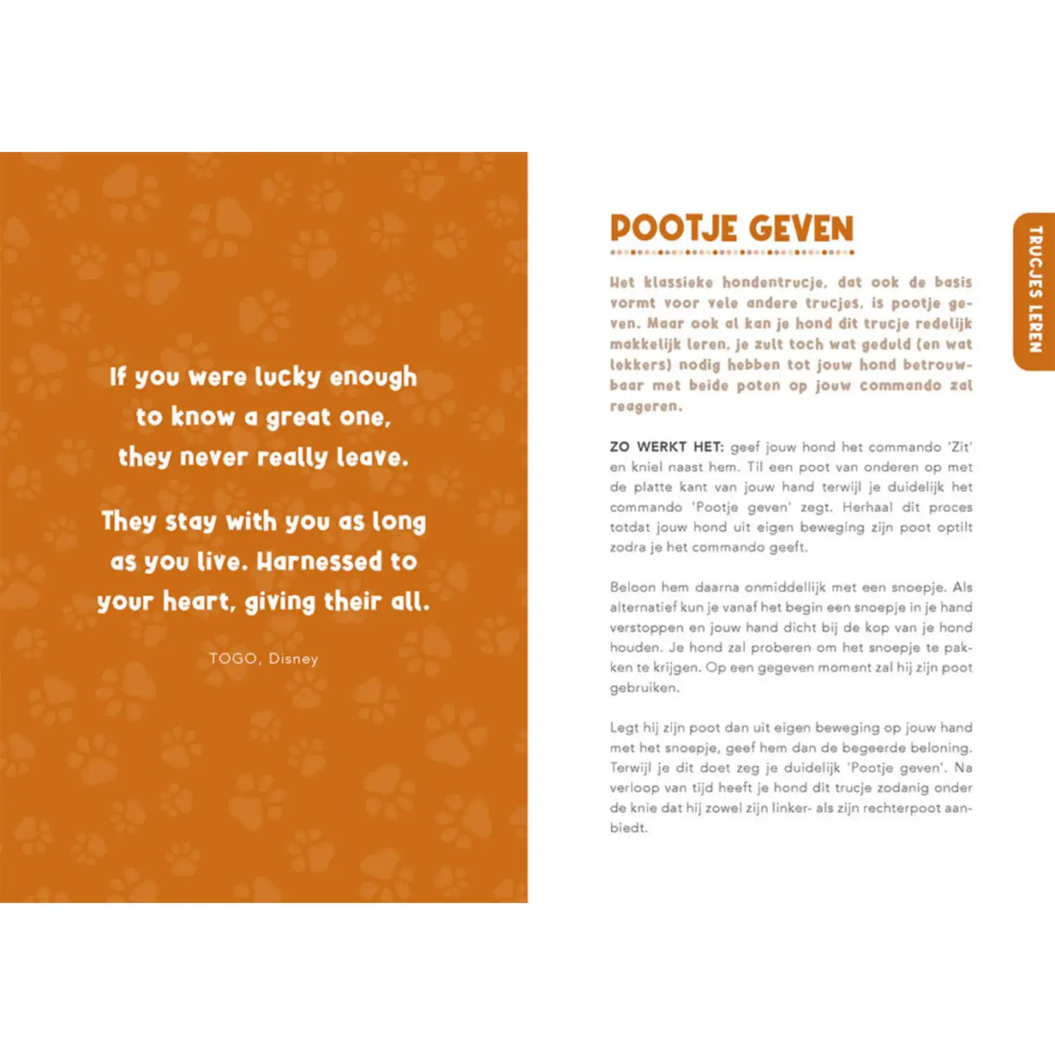 Handboek voor hondenbaasjes - Afbeelding 4