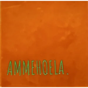Tegeltje ammehoela oranje/appelgroen