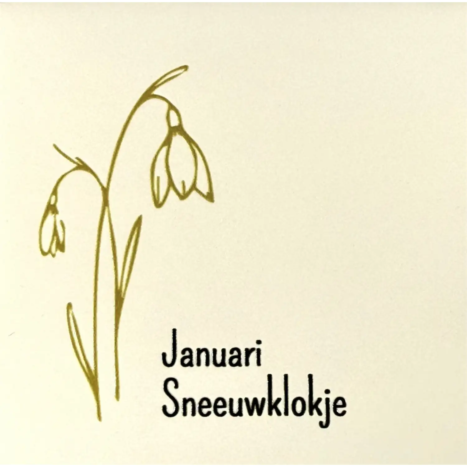 Tegeltje 'Geboortetegel Januari creme