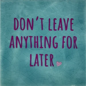 Tegeltje Don't leave anything for later groen/roze