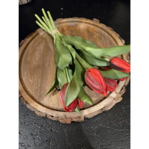 96952 3 tulp eliza 31 cm red