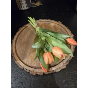 121908 4 tulp julia peach
