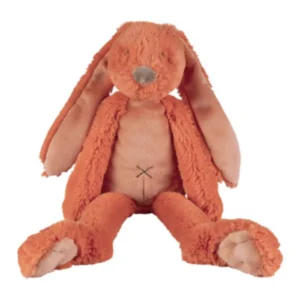Happy horse Orange Rabbit Richie