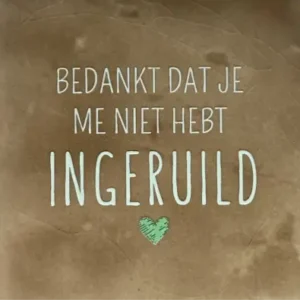 Tegeltje bedankt dat je me niet hebt ingeruild taupe/lichtgroen