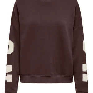 CARSWEAT L/S BACK/SLEEVE PRINT SWT - Coffee Bean BIRCH HOUSTON PRINT, S-42/44