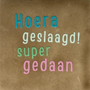 tegeltje hoera geslaagd super gedaan taupe/turquoise(lichtgroen-mint-warmroze)