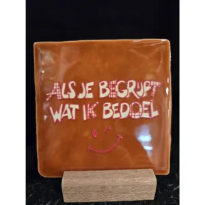 Tegeltje Als je begrijpt wat ik bedoel
