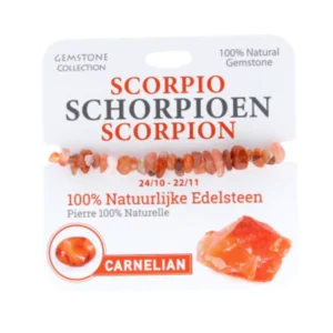 334009 Gemstone - Armband - Sterrenbeeld - Schorpioen
