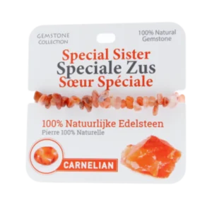 334033 Gemstone - Armband - Speciale Zus
