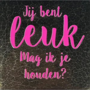 Tegeltje jij bent leuk goud