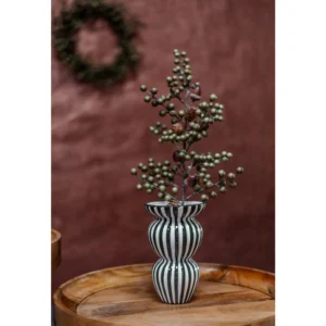 Home society Vaas Stripe