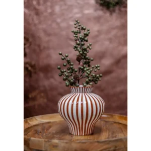 Home society Vaas Stripe