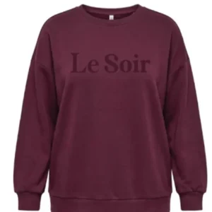 CARVIOLETTA L/S O-NECK PRINT SWEAT JRS