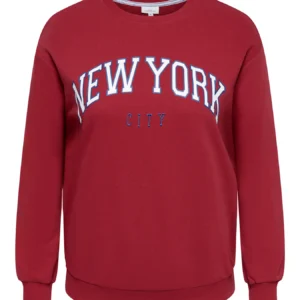 CARWESLEY L/S O-NECK SWEAT JRS f6