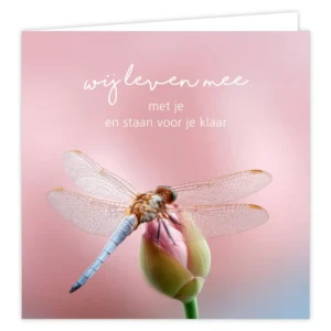 Pearl. Wij leven mee met je en staan voor je klaar