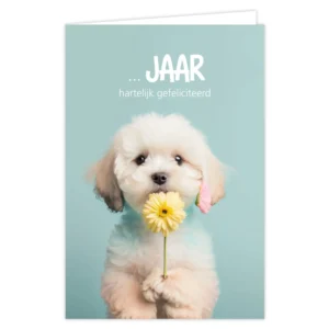 Wenskaart ...jaar hartelijk gefeliciteerd