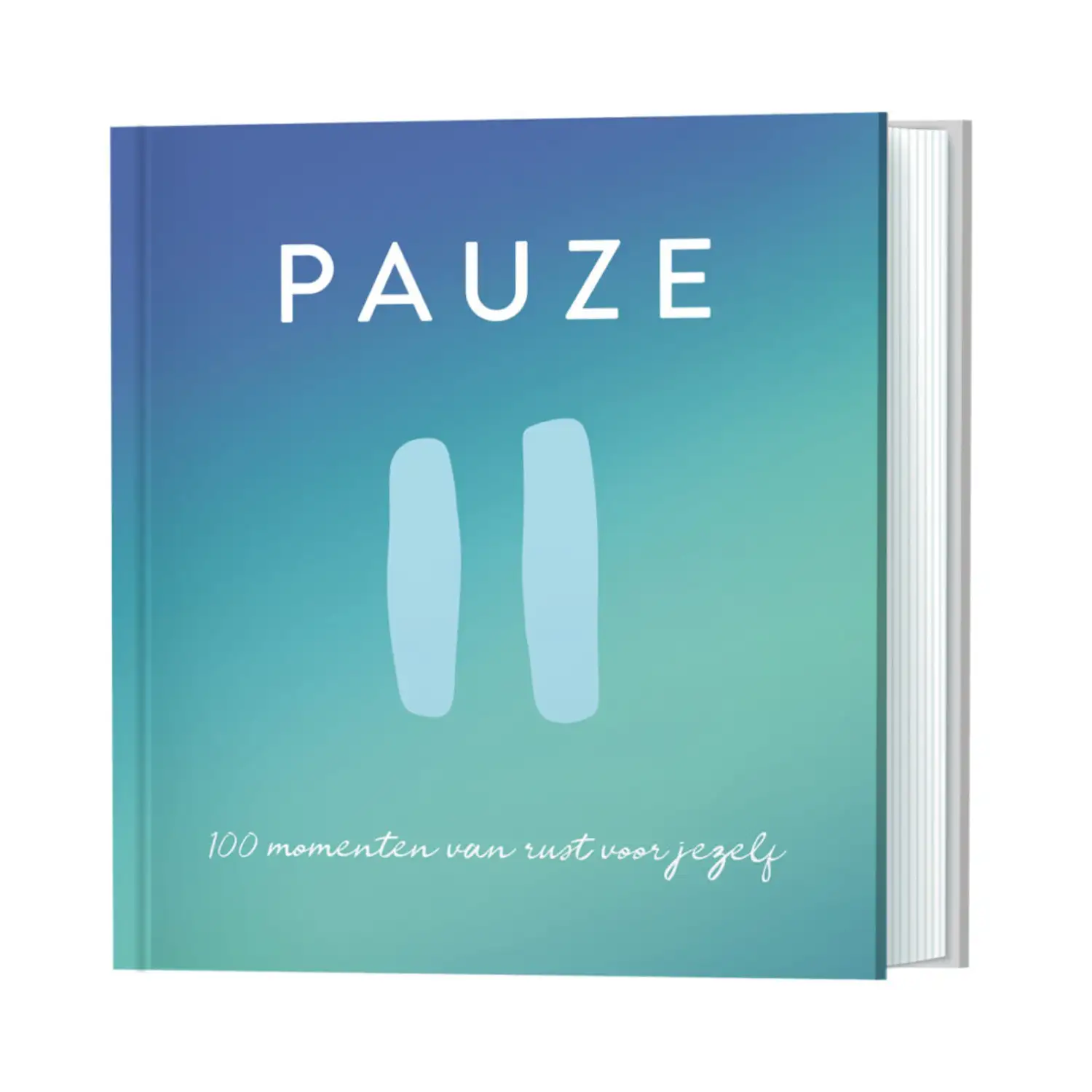 Pauze 100 momenten van rust