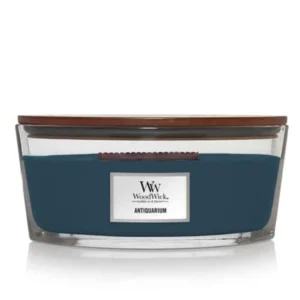 WW Antiquarium Ellipse Candle