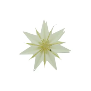 Home society Plafondlamp Paper Star Rud S LED