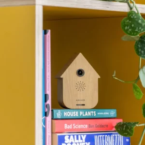 Sound Box Modern Cuckoo Light wood