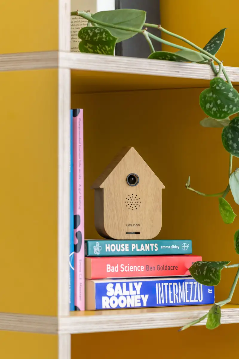 Sound Box Modern Cuckoo Light wood